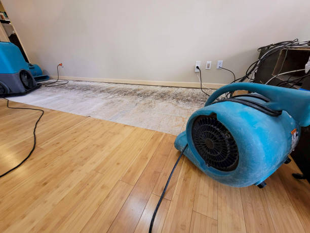 Professional Water Extraction technician working in New Sharon, IA